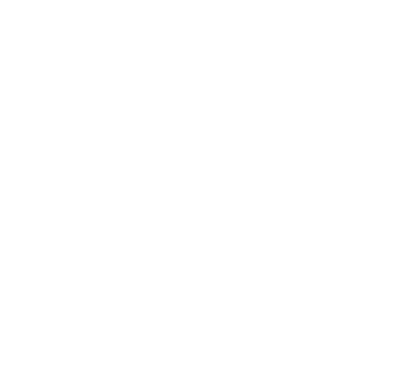 pun-boon-category-icon