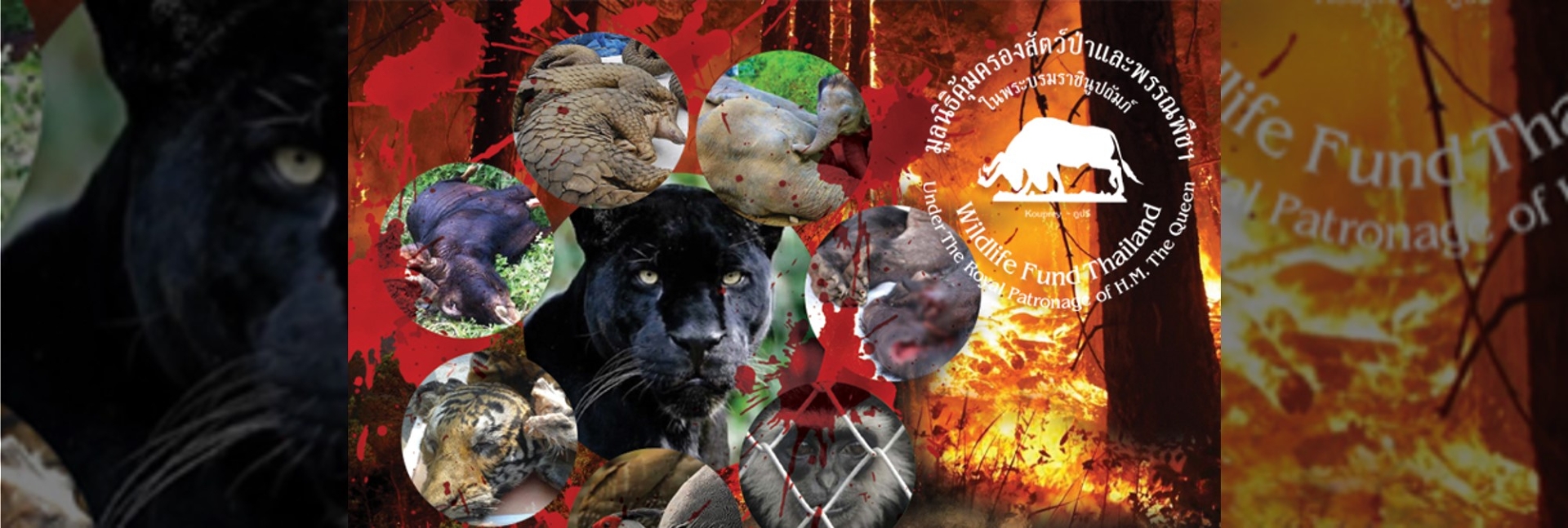 pun-boon-foundation-banner-1