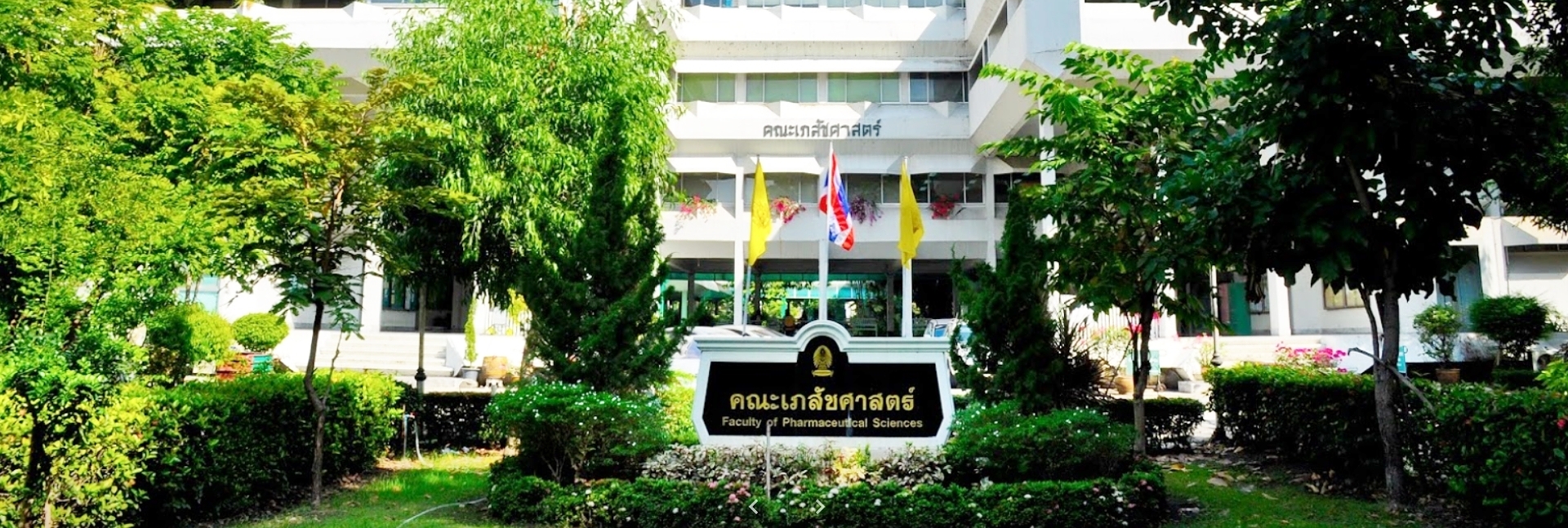 pun-boon-foundation-banner-3