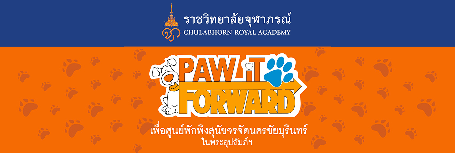 pun-boon-foundation-banner-0