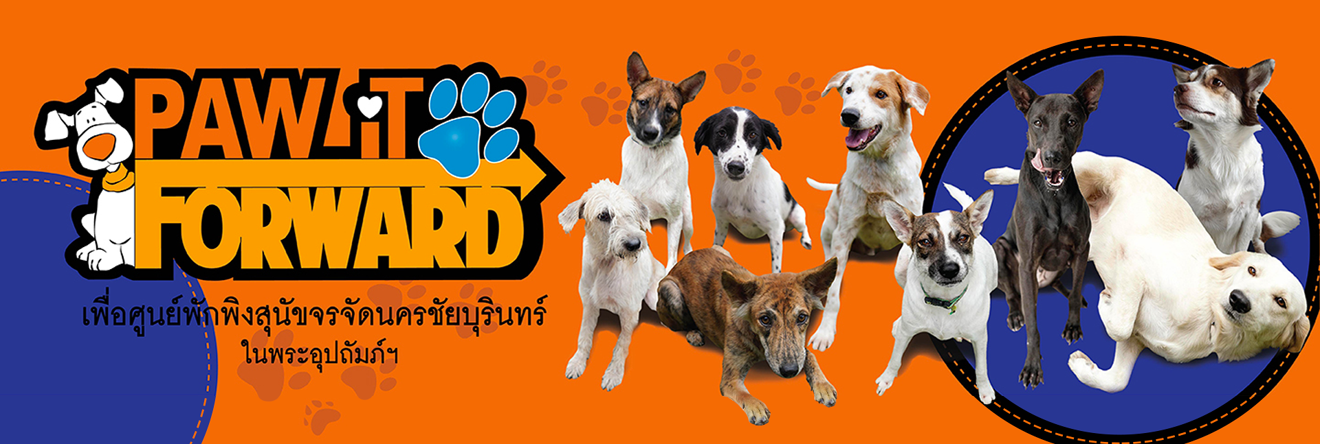 pun-boon-foundation-banner-1