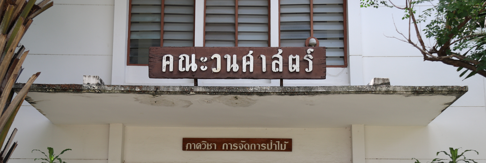 pun-boon-foundation-banner-4