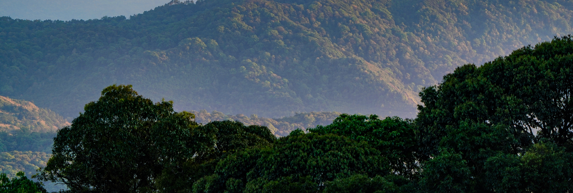 pun-boon-foundation-banner-3