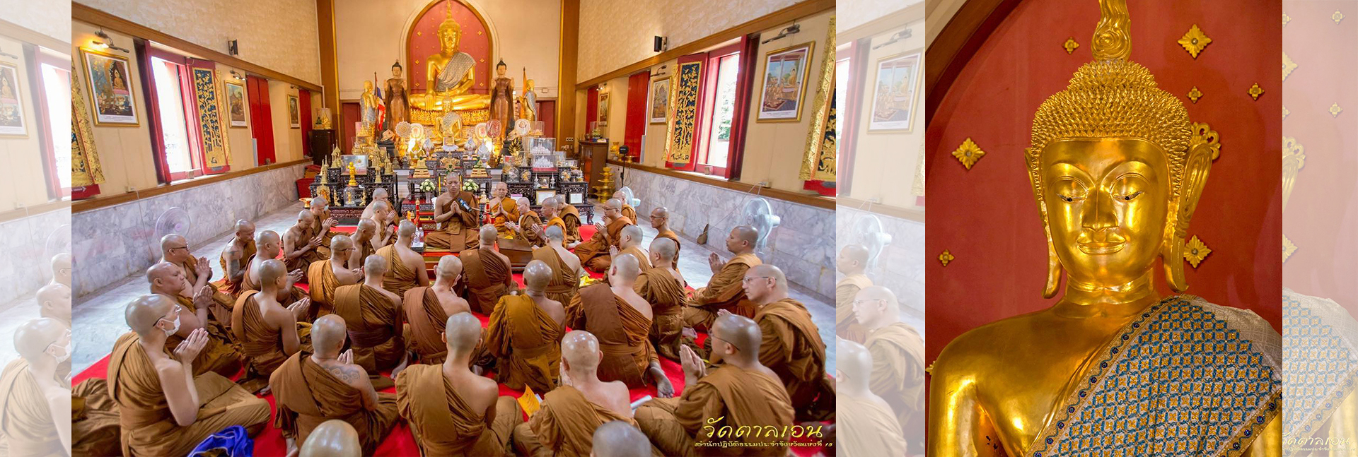 pun-boon-foundation-banner-4