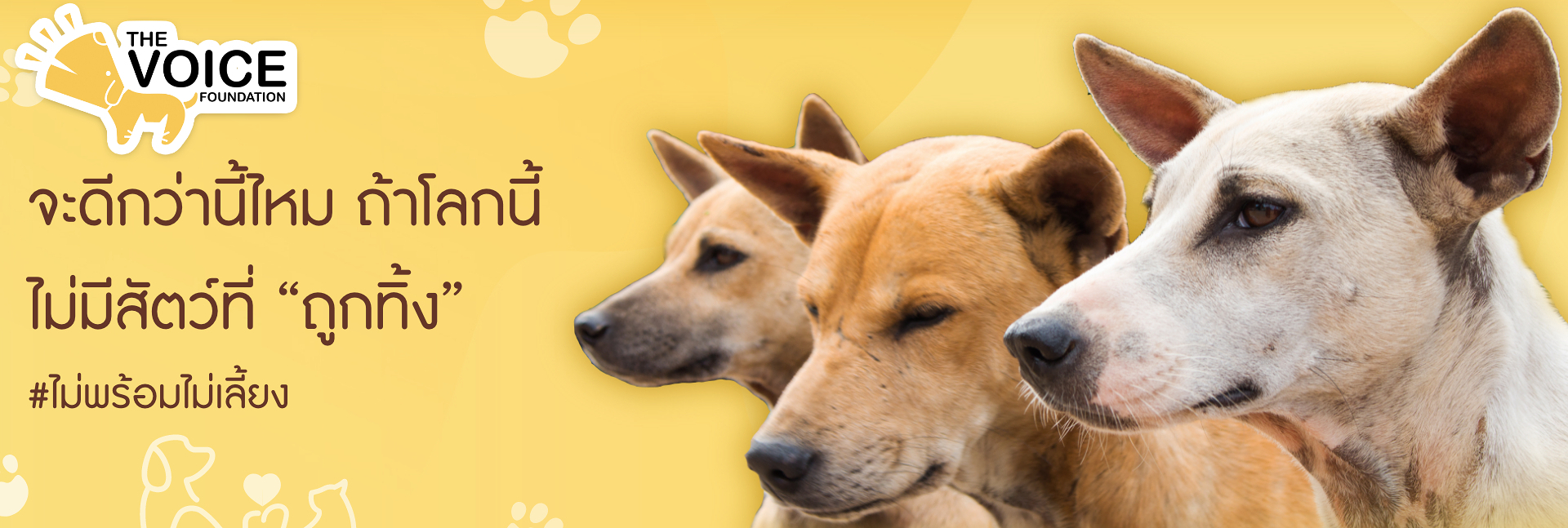 pun-boon-foundation-banner-0