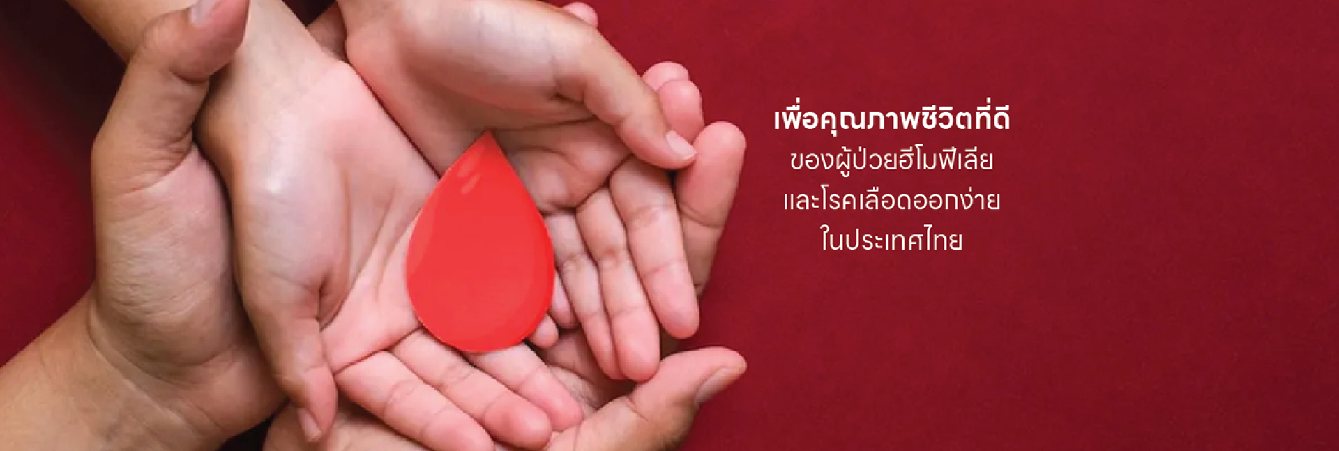 pun-boon-foundation-banner-0
