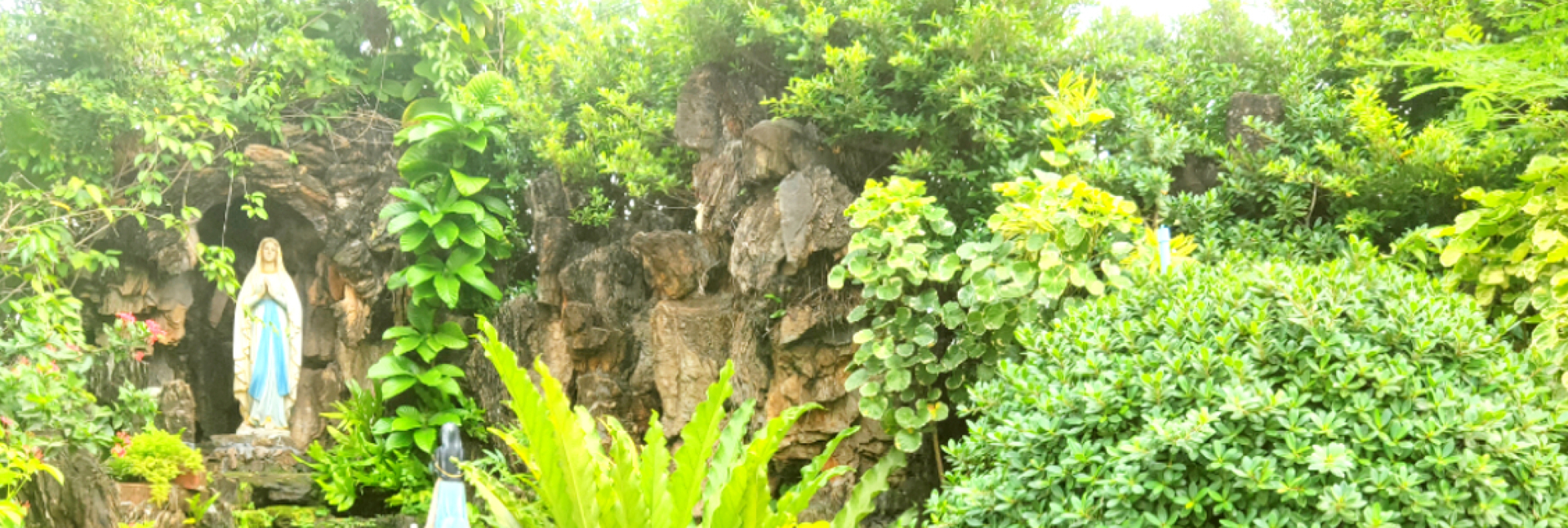 pun-boon-foundation-banner-1