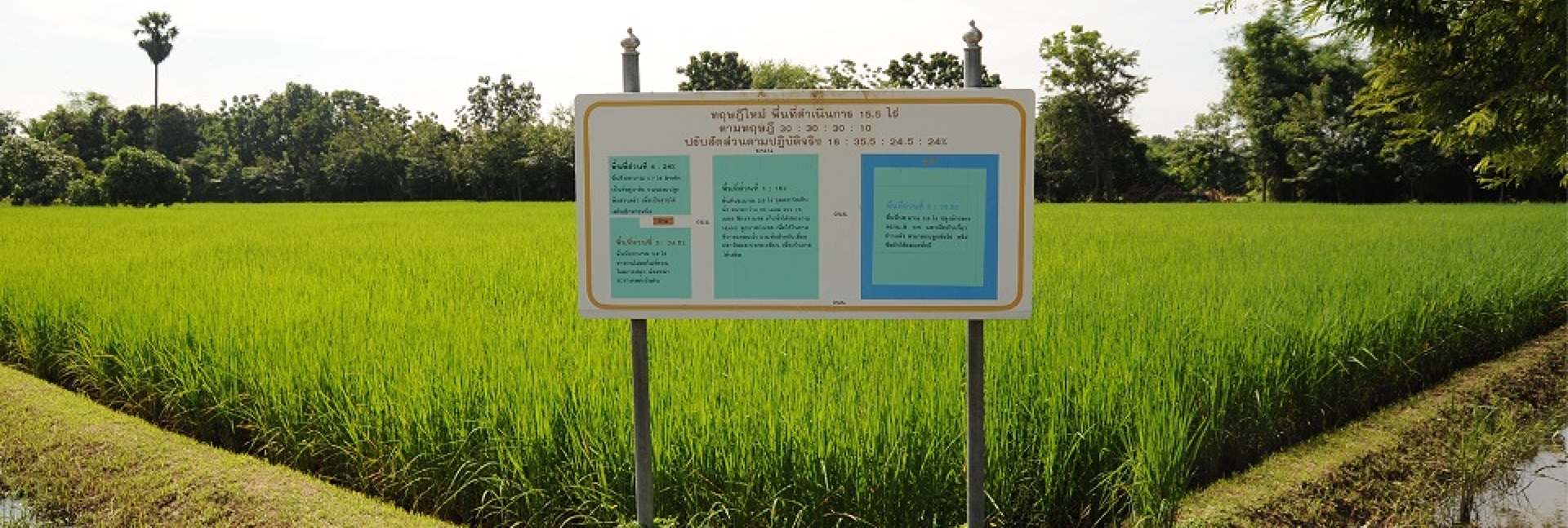 pun-boon-foundation-banner-4