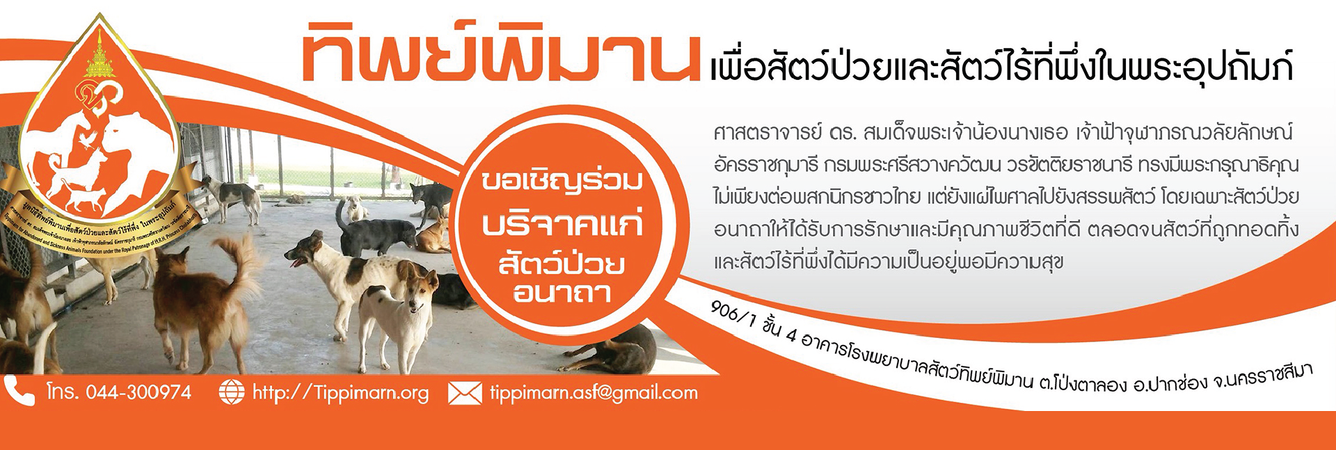 pun-boon-foundation-banner-0