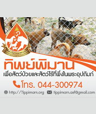 image not found