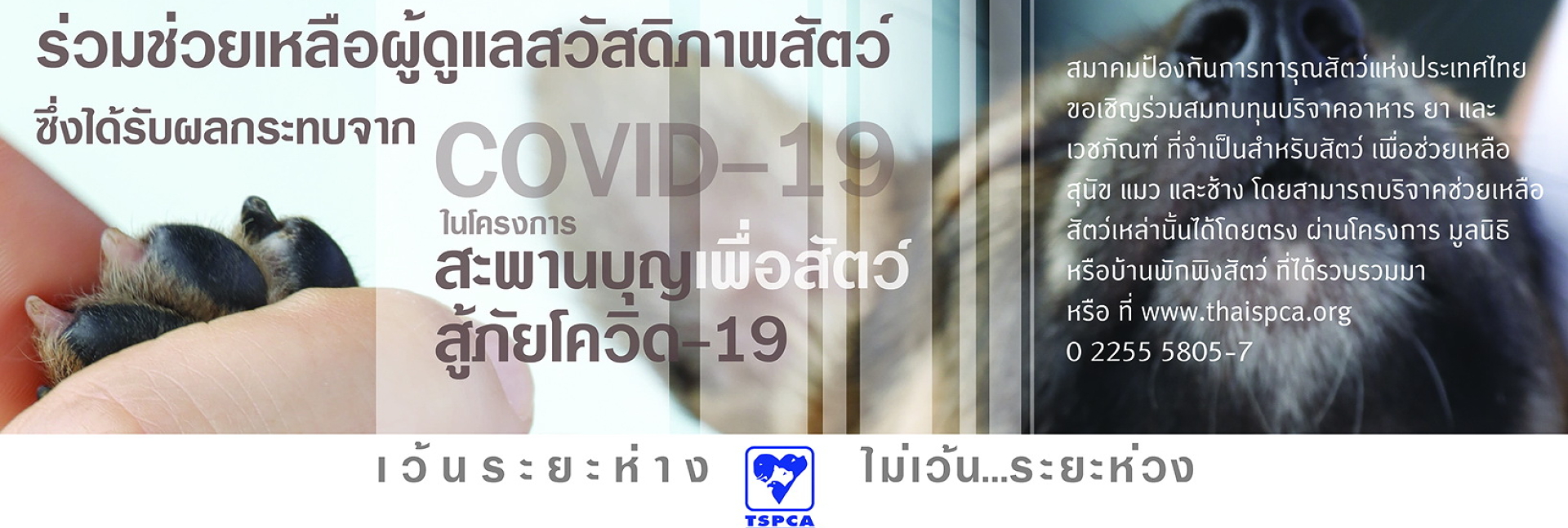 pun-boon-foundation-banner-0