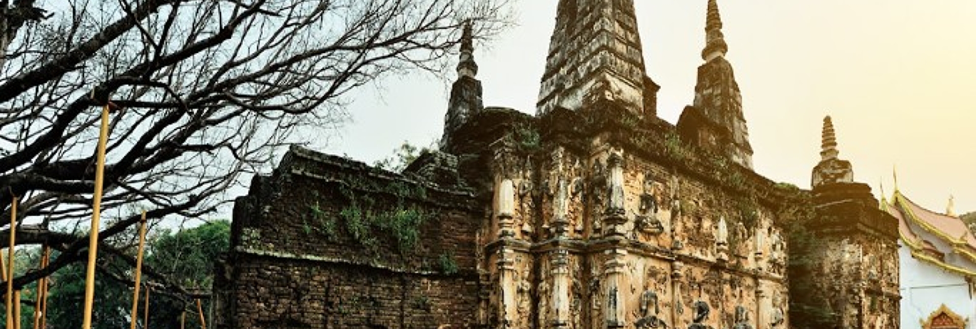 pun-boon-foundation-banner-1