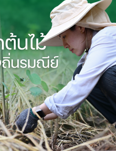 pun-boon-related-project