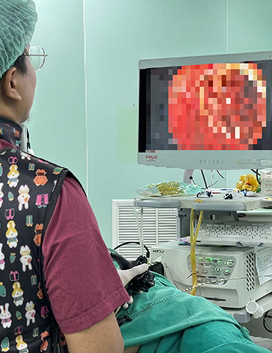 pun-boon-related-project