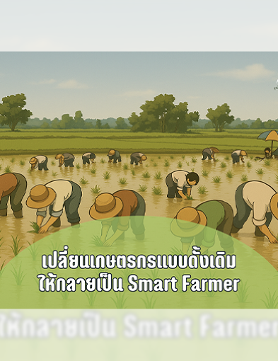 pun-boon-related-project