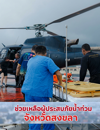 pun-boon-related-project