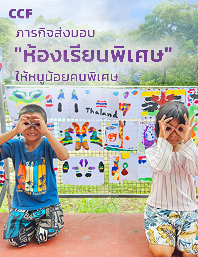 pun-boon-related-project