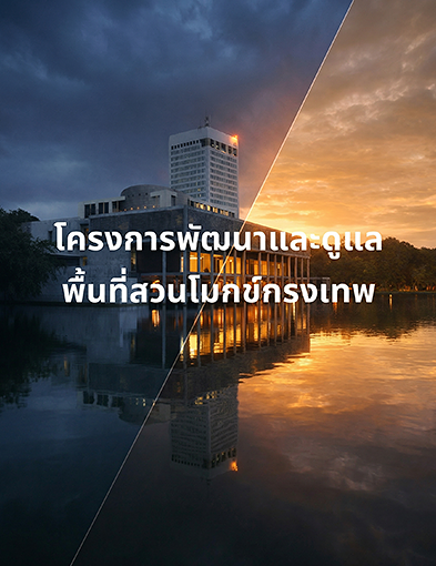 pun-boon-related-project