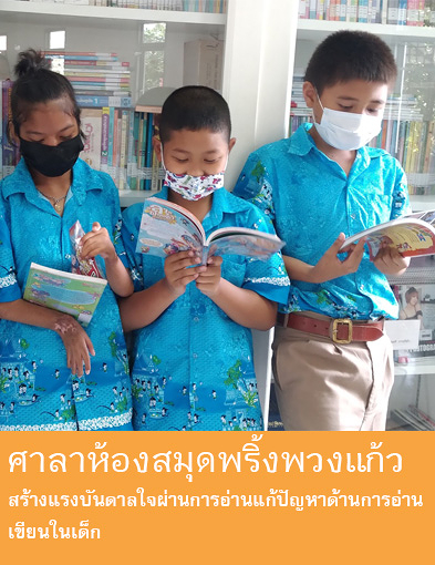 pun-boon-related-project