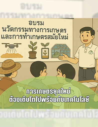 pun-boon-related-project