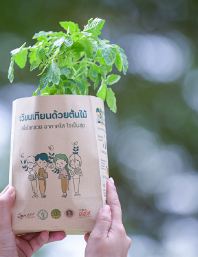 pun-boon-related-project