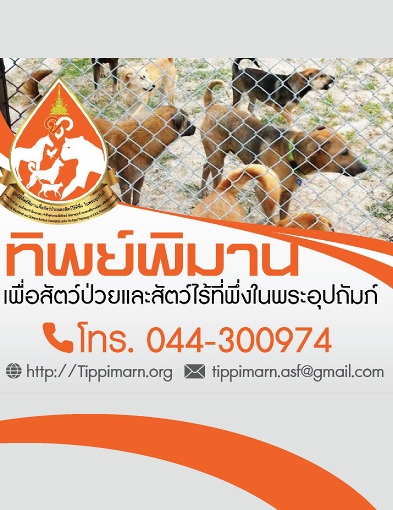 pun-boon-ทิพย์พิมานเพื่อสัตว์ป่วยและสัตว์ไร้ที่พึ่งในพระอุปถัมภ์ฯ