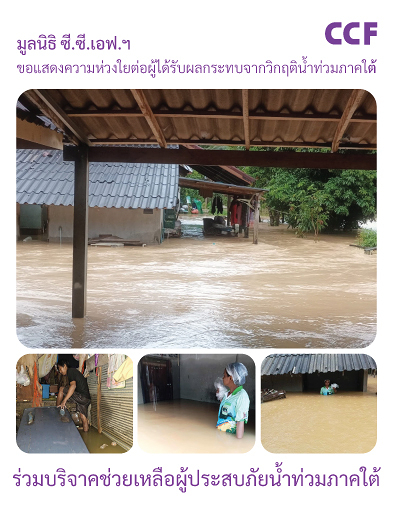 pun-boon-related-project