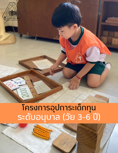 pun-boon-related-project