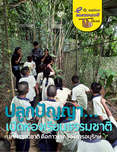 pun-boon-related-project