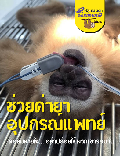 pun-boon-related-project